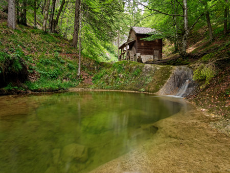 Mountain stream with a wooden house in the forest.の写真素材