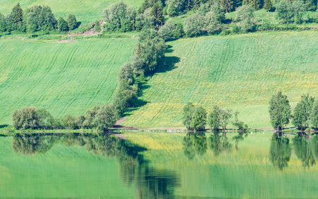 Beautiful spring landscape with a lake and trees on the hillside