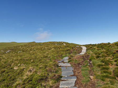 Trail on the island of Runde in Norway, Europeの写真素材