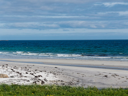 beach and sea in summer, photo as a background, digital image