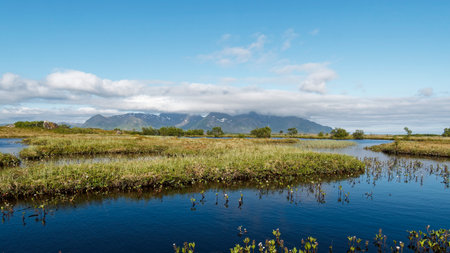 Landscape of a small river and mountains in the background in Norway.