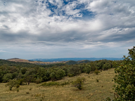 Mountain landscape with forest and cloudy sky.の写真素材