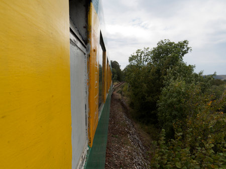The train moves through the autumn forest. Autumn landscape.の写真素材