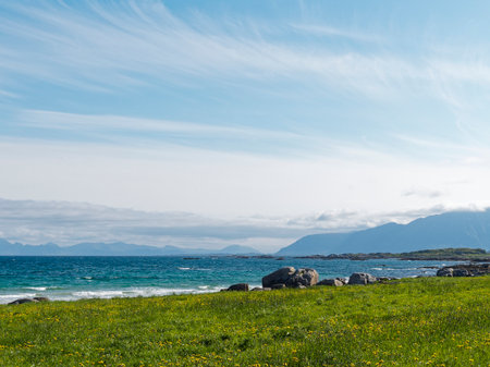 Seascape with grass, flowers and mountains in backgroundの写真素材
