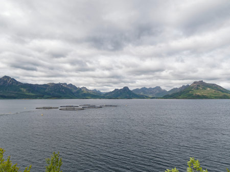 Norwegian fjord landscape on a cloudy day. Horizontalの写真素材