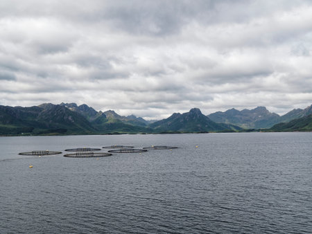 Lofoten islands is a archipelago in the county of Nordland in Norway.の写真素材