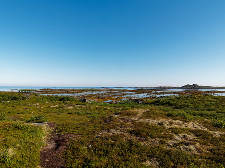 Landscape of the coast of Norway in a sunny dayの写真素材