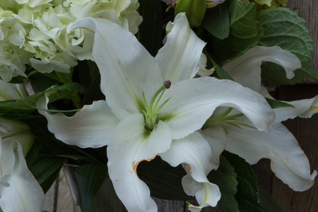 Bouquet with Casablanca lilies at a wedding in the countryside of France on Valentines Dayの写真素材