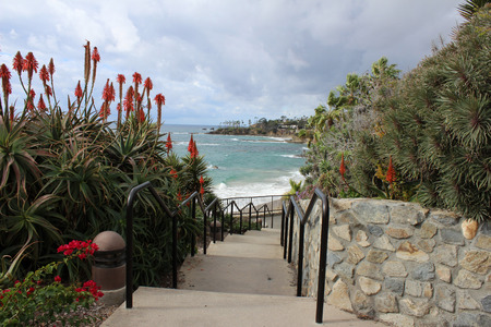 Heisler Park Laguna Beach California steps with red hot poker plants Kniphofia uvaria fallの写真素材