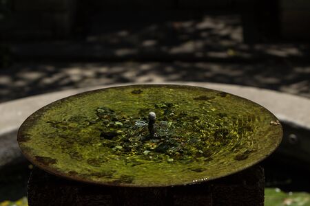 Green fountain in a tropical stone garden