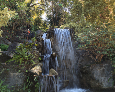 Deep tropical forest waterfall in Hawaii in Springの写真素材
