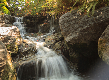 Deep tropical forest waterfall in Hawaii in Springの写真素材