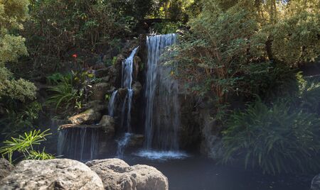 Deep tropical forest waterfall in Hawaii in Springの写真素材