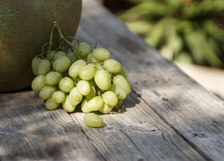 Green grapes on a rustic table in summerの写真素材