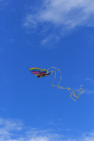 A rainbow colored butterfly kite flies across a blue sky in summerの写真素材