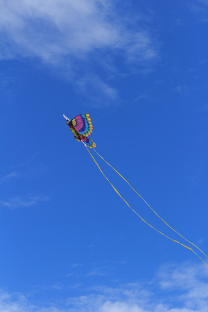 A rainbow colored butterfly kite flies across a blue sky in summerの写真素材