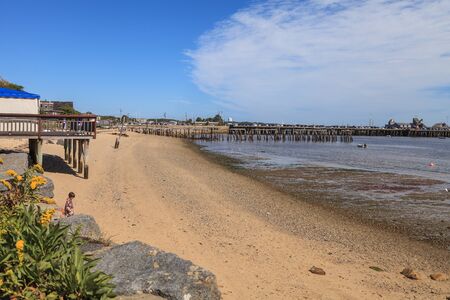 Beach in summer in Chatham, Massachusetts on Cape Cod.の写真素材