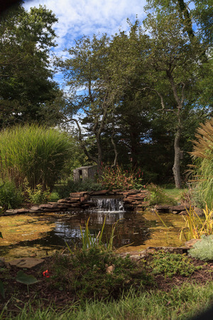 Plant life and a waterfall in a pond in New England on Cape Cod in summer.の写真素材