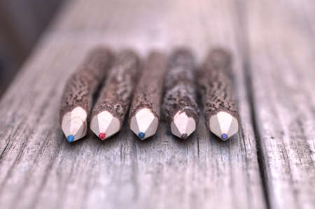 Macro view of bark covered colored pencil tips on a wood bench backgroundの写真素材