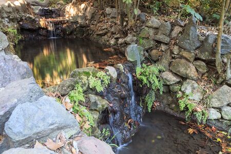 Ferndell hiking trail with ferns, small waterfalls and ponds in Los Angeles, California, United Statesの写真素材