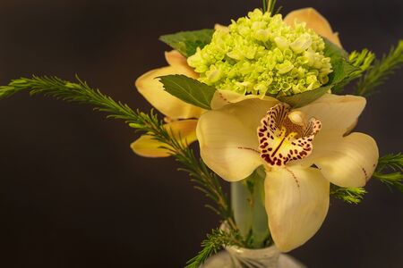 Green, white and red Cymbidium orchid arrangement in a blown glass vase at a wedding.の写真素材