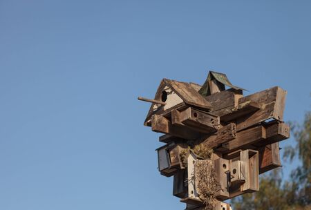 A cluster of birdhouses reside over a garden in Southern California.の写真素材
