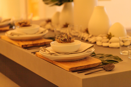 Rustic desert place setting with white candleholders and succulent plant on a country patio in summer.の写真素材