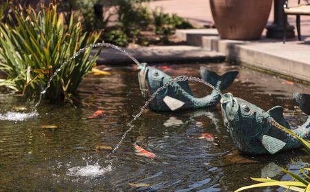 Relaxing zen fountain in a koi pond with plants and fish in a garden.の写真素材