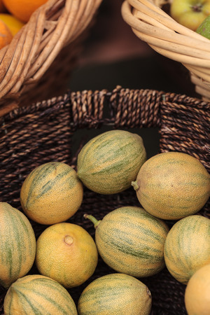 Lemon lime hybrid fruit in a basket at a farmers marketの写真素材