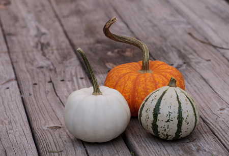 White Casper pumpkin next to an orange pumpkin and green and white gourd on a rustic wood picnic...