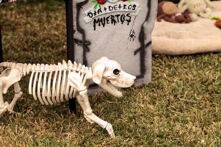 Los Angeles, CA, USA - October 29, 2016: Flower and skeleton alter at Dia de los Muertos, Day of the dead, in Los Angeles at the Hollywood Forever Cemetery grounds. Editorial use only.のeditorial素材