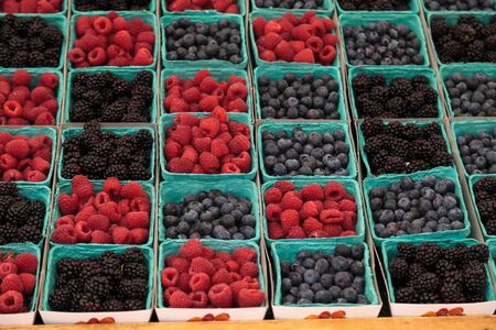 Baskets of organic raspberries, blueberries and blackberries grown on a farm and displayed at a...