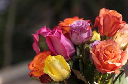 Roses in a rainbow of colors including pink, orange, red and yellow in a spring bouquet.の写真素材