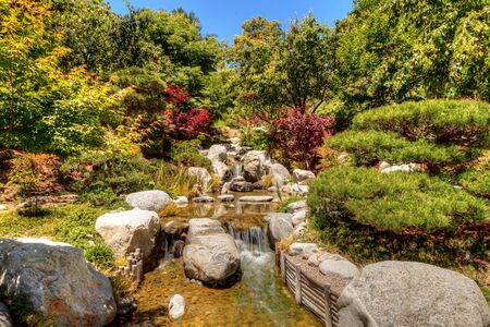 Relaxing, zen like pond with a waterfall, koi fish and tropical plants.の写真素材