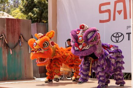 San Diego, CA, USA - July 1, 2017: Chinese lion dance demonstration performed at the San Diego Zoo Safari park. Editorial only.のeditorial素材