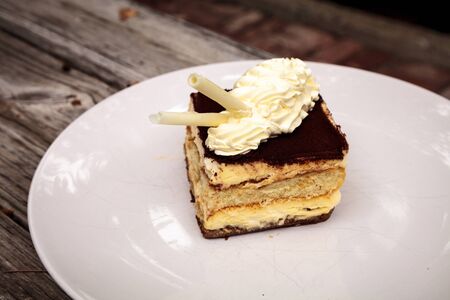 Creamy Italian tiramisu with a coffee flavored custard and ladyfingers layered with whipped eggs and mascarpone cheese infused with cocoa.の写真素材