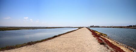 Path along the peaceful and tranquil marsh of Bolsa Chica wetlands in Huntington Beach, California, USAの写真素材