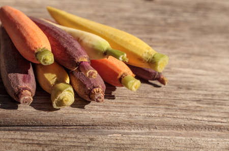 Natural colorful baby carrots in orange, yellow and purple on the rustic wood background of an old farm table in autumn.の写真素材