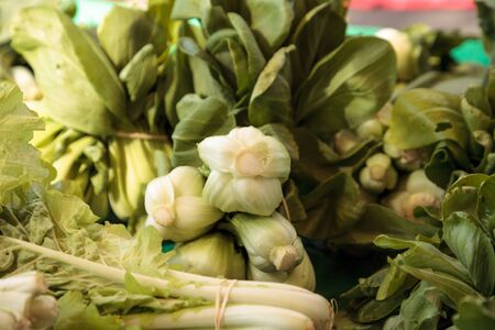 Organic green Chinese bok choy on a rustic wood farm table.の写真素材
