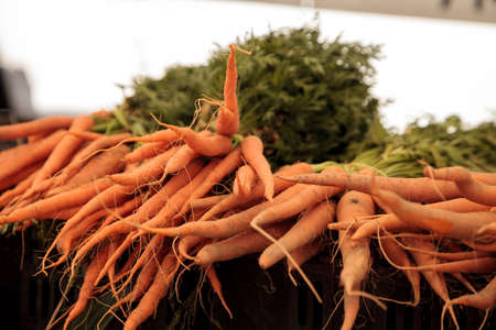 Orange carrots grown and harvested in Southern California and displayed at a farmers market.の写真素材