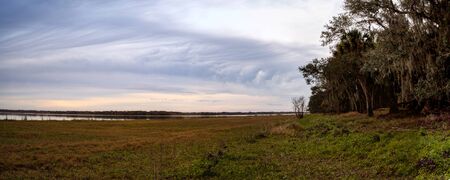 Wetland and marsh at the Myakka River State Park in Sarasota, Florida, USAの写真素材