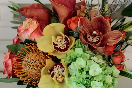 Bouquet of flowers including roses, orchids, pincushion proteas and hydrangea flowers in bright colors including orange, green, yellow and pinkの写真素材