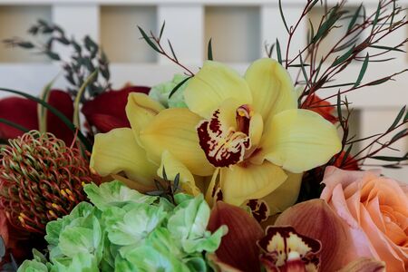 Bouquet of flowers including roses, orchids, pincushion proteas and hydrangea flowers in bright colors including orange, green, yellow and pinkの写真素材