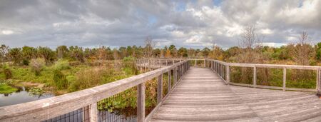 Wooden secluded, tranquil boardwalk along a marsh pond in Freedom Park in Naples, Floridaの写真素材