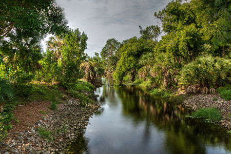 Winding riverway of the Gordon River tributary in Naples, Floridaの写真素材