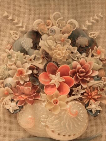 Seashell floral background display with pink shells, white shells, and a variety of textures.