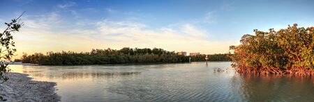 Mangrove trees grow along the waterways of Clam Pass as it leads down to the ocean in Naples, Floridaの写真素材