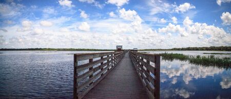 Boardwalk overlooking the flooded swamp of Myakka River State Park in Sarasotaの写真素材