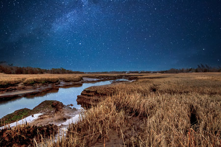 Milky Way over the river at night. Landscape with starry sky.の写真素材