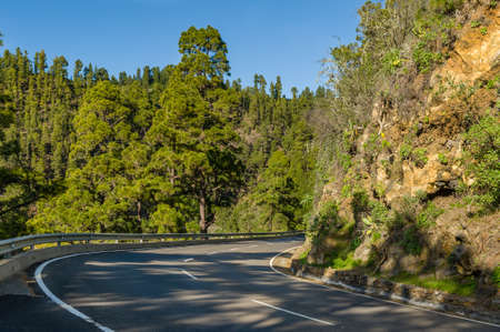 Roads at La Palma island, Canary, Spainの写真素材